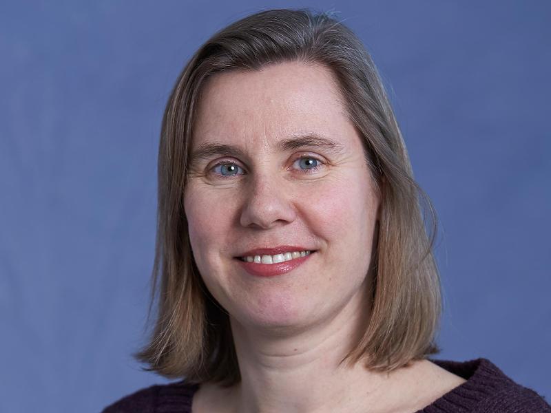 Claudia Halsband (APN) er leder for seksjon &Oslash;kosystemer ved det private forskningsinstituttet og konsulentselskapet Akvaplan-niva i Troms&oslash;, Norge. Halsband leder og forsker innen omr&aring;dene struktur og funksjon av marine &oslash;kosystem, trofiske interaksjoner og livshistorietrekk ved dyreplankton og deres reproduksjonsstrategier, ofte ved bruk av eksperimentelle tiln&aelig;rminger. Nylige interesser inkluderer menneskeskapte p&aring;virkninger p&aring; marine samfunn gjennom klimatisk oppvarming, havforsuring og mikroplastforurensning, inkludert potensielt skadelige tilsetningsstoffer.   Dorte Herzke (NILU) er seniorforsker med mer enn 20 &aring;rs milj&oslash;forskning p&aring; forurensning, og leder nasjonale og internasjonale prosjekter om skjebne og p&aring;virkning av forurensninger i akvatiske og terrestriske &oslash;kosystemer i Arktis, inkludert menneskelig eksponering. Nylige aktiviteter inkluderer skjebne og transport av mikroplast og relaterte kjemikalier og deres langdistansetransport og lokale kilder. Hun har ogs&aring; en Prof II-stilling ved UiT.   Eirik Mikkelsen (Nofima) er &oslash;konom og samfunnsviter med bakgrunn fra teknologi og &oslash;kologi, aktuelle forskningsinteresser i de sosiale og &oslash;konomiske konsekvensene av havbruk, og tidligere forskningsfokus p&aring; regional utvikling, naturressursbruk og milj&oslash;forvaltning; han er redakt&oslash;r for nettportalen Barentswatch med b&aelig;rekraftsindikatorer for havbruk.   Raul Primicerio (UiT), professor ved BFE-UiT, er en kvantitativ &oslash;kolog som arbeider med virkningen av klimaendringer og flere menneskeskapte stressfaktorer p&aring; akvatisk biologisk mangfold og &oslash;kosystemer, han koordinerer og bidrar til nasjonale og internasjonale vitenskapelige prosjekter om kumulativ risiko og dens h&aring;ndtering, og er medlem av flere ICES-ekspertgrupper som tar opp disse temaene.